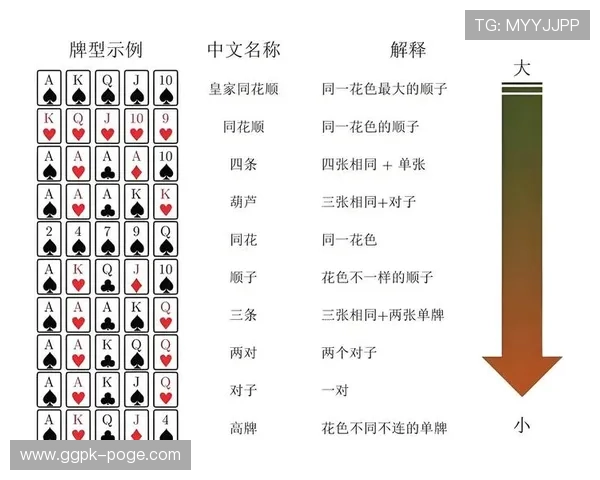 德州扑克官网平台:丰富的教学资源助力新手快速掌握游戏技巧 德州扑克官网平台:丰富的教学资源助力新手快速掌握游戏技巧